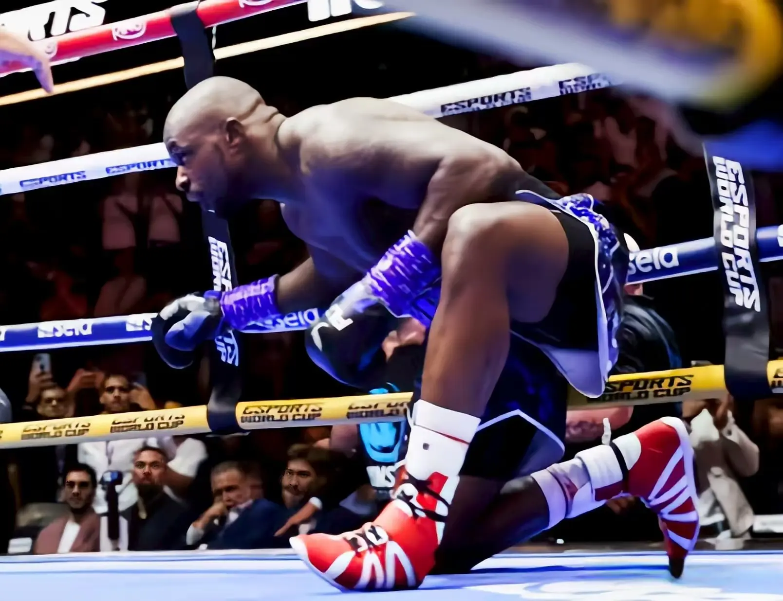 考虑到怀特 考虑到怀特