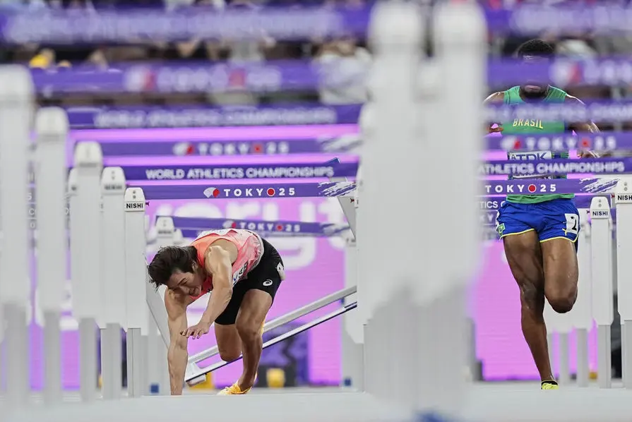 对于为此做, 官方及日本